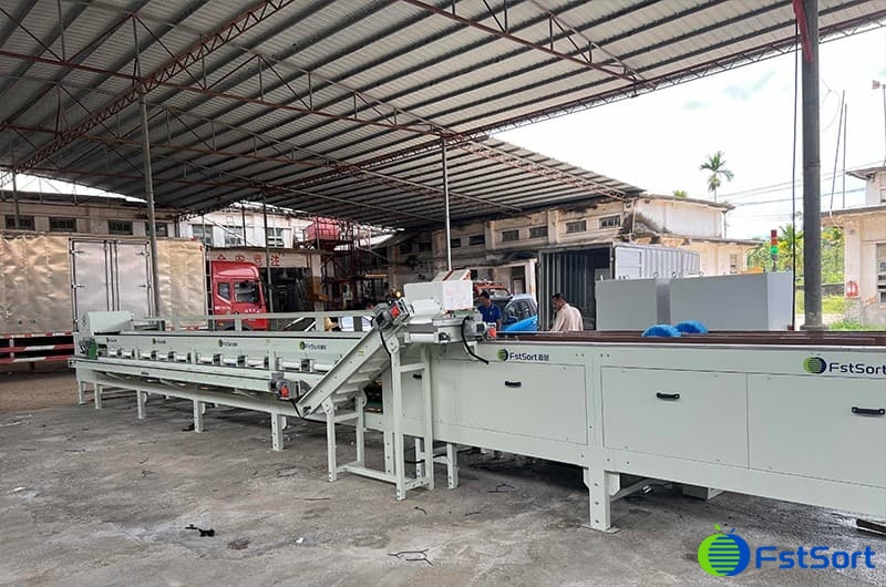 images/1715155376877passion fruit sorting grading line.jpg